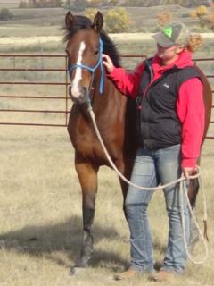 Pictured as a yearling